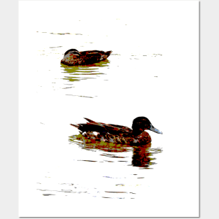 Two Ducks! Posters and Art